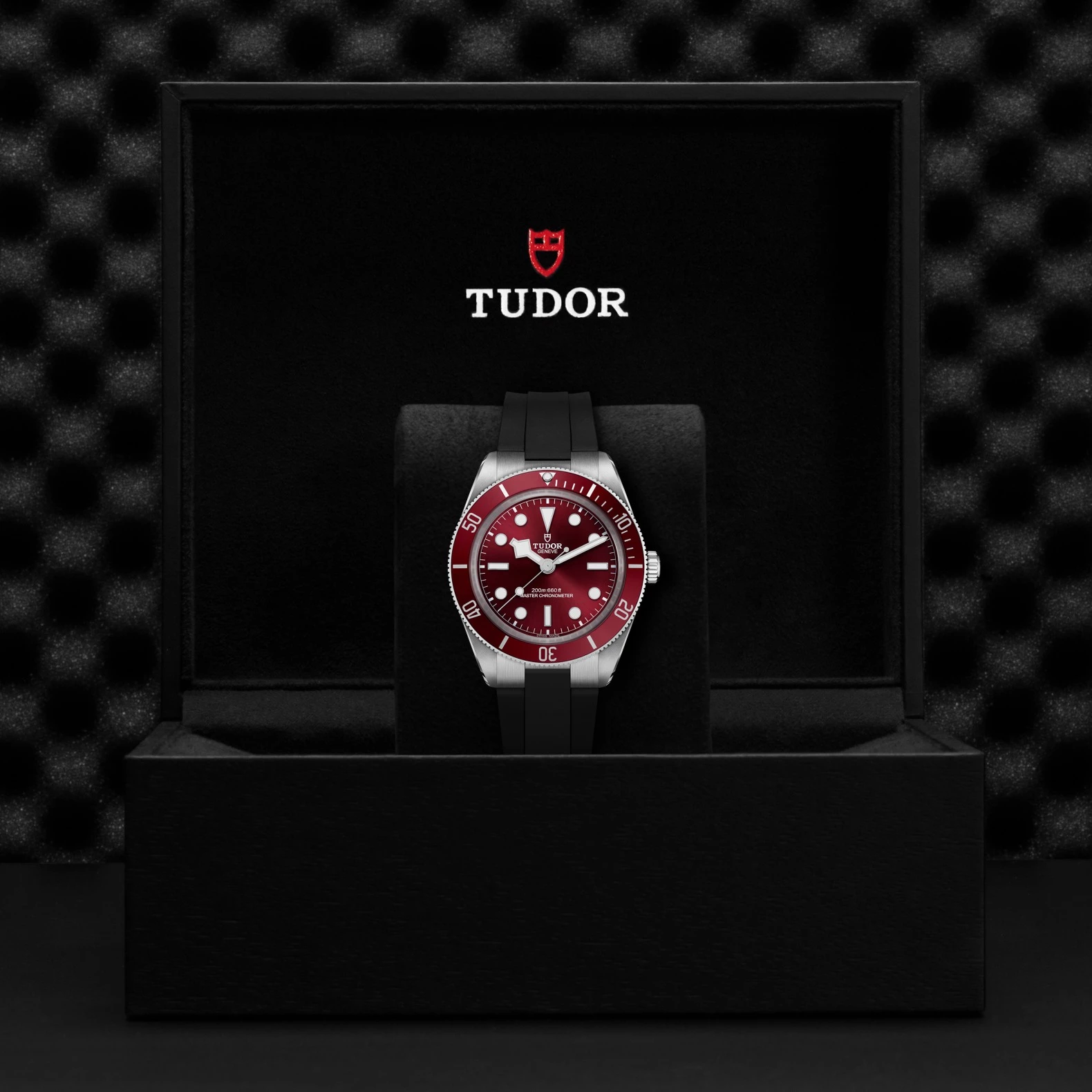 Montre TUDOR Black Bay 58, boîtier en acier, 39 mm, cadran bordeaux