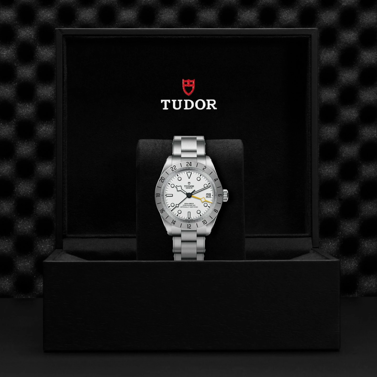 Montre TUDOR Black Bay Pro, boîtier en acier, 39 mm, cadran opalin