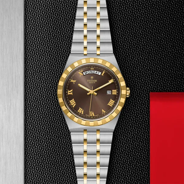 Montre TUDOR Royal boîtier en acier, 41 mm, lunette en or jaune