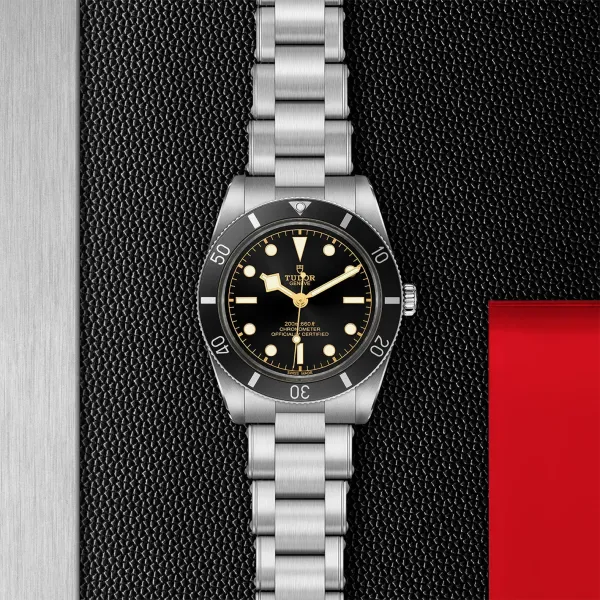 Montre TUDOR Black Bay 54 boîtier en acier, 37 mm, bracelet en acier