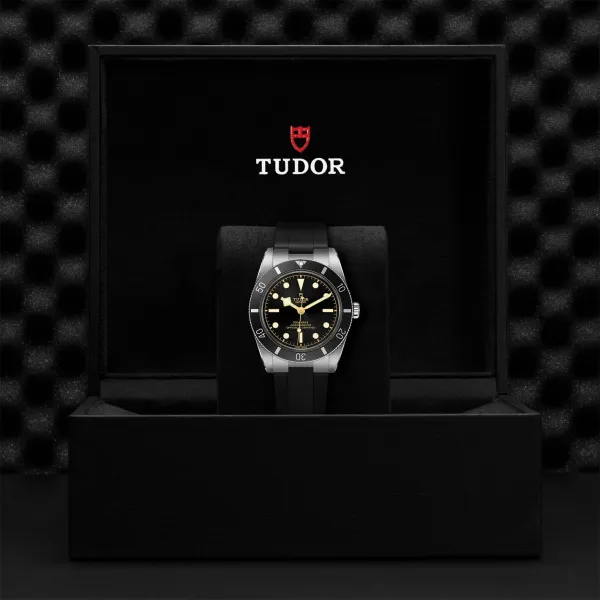 Montre TUDOR Black Bay 54 boîtier en acier, 37 mm, bracelet en caoutchouc noir
