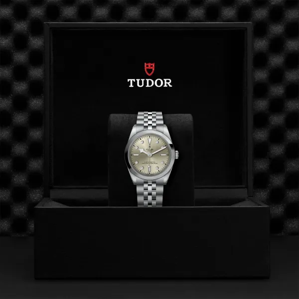 Montre TUDOR Black Bay 36 boîtier en acier, 36 mm, bracelet en acier