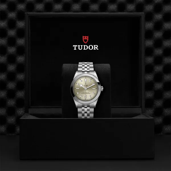 Montre TUDOR Black Bay 39 boîtier en acier, 39 mm, bracelet en acier