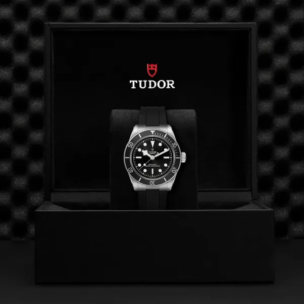 Montre TUDOR Black Bay, boîtier en acier, 41 mm, bracelet en caoutchouc noir