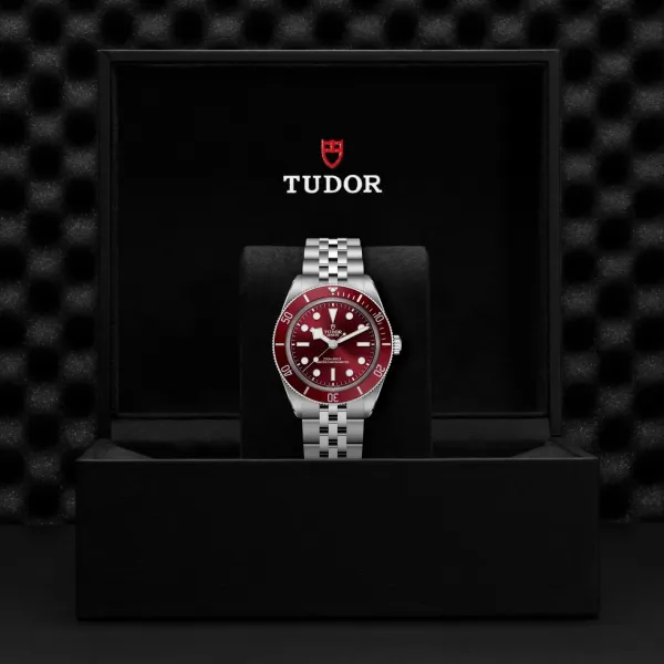 Montre TUDOR Black Bay 58, boîtier en acier, 39 mm, bracelet en acier